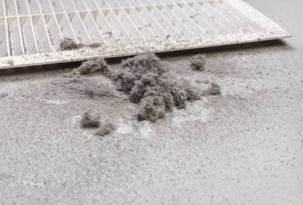 Best Emergency Air Duct Cleaning  in South Barrington, IL