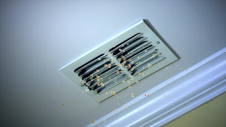Best Affordable Air Duct Cleaning  in South Barrington, IL