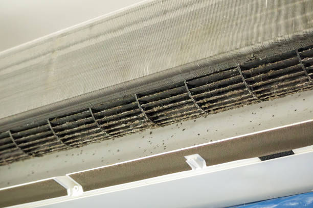 Best HVAC Maintenance and Cleaning  in South Barrington, IL